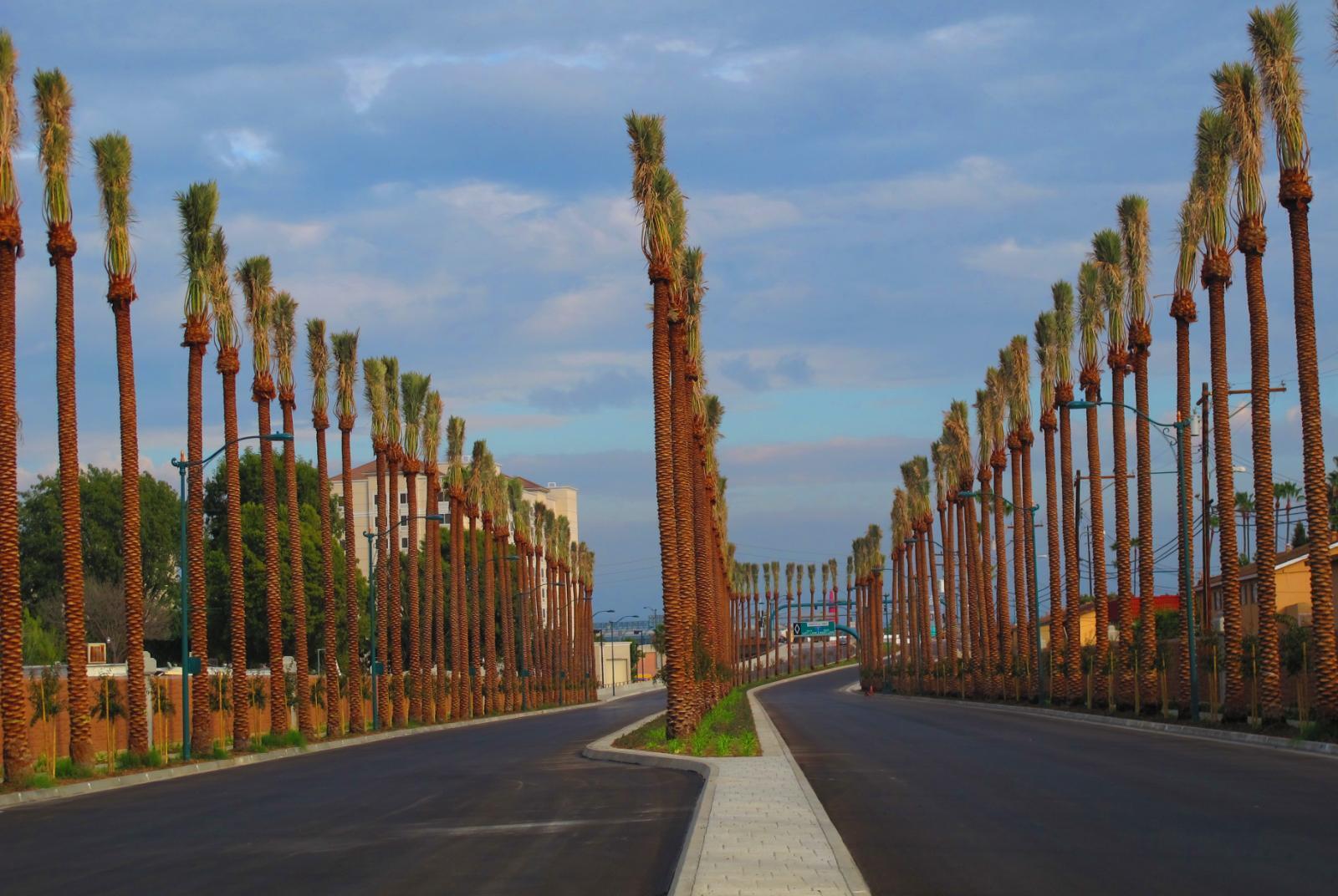 /Files/PROJECT_FILE/fd2e1004-8641-40dd-9745-c0778d28f83a/Gene Autry Way.jpg